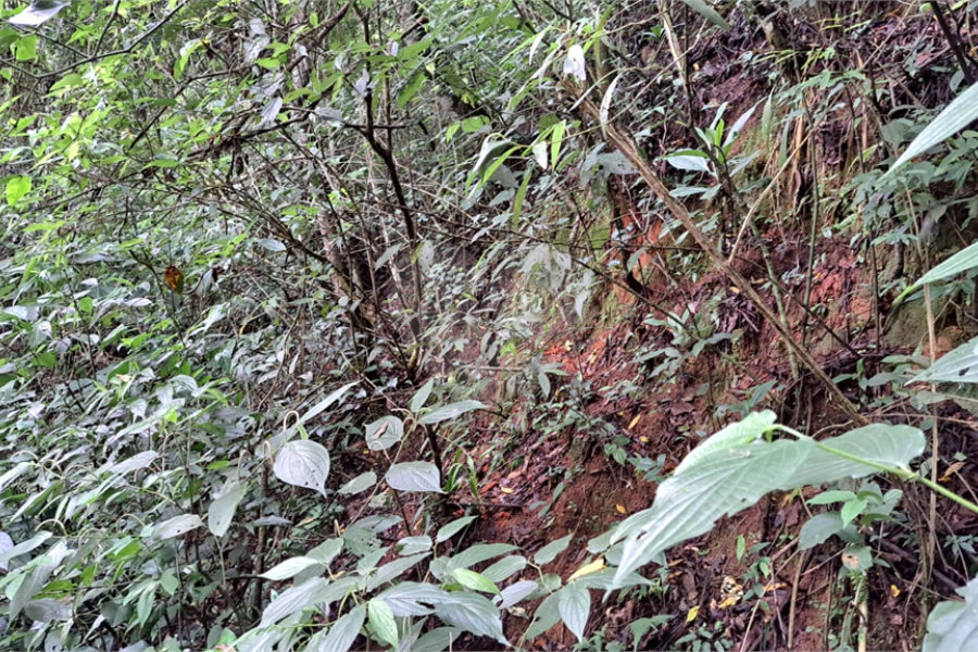 Terreno à venda no condomínio Campos de Mairiporã Gleba 1, Mairiporã - SP