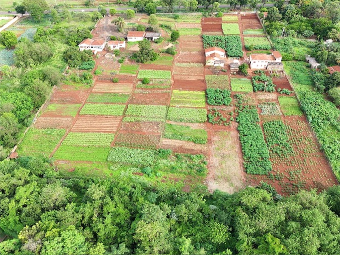 Terreno à venda em Jardim Itaú, Ribeirão Preto, SP