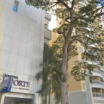 Apartamento à venda com 3 quartos, sendo 1 suíte, em Vila Progredior, São Paulo, SP