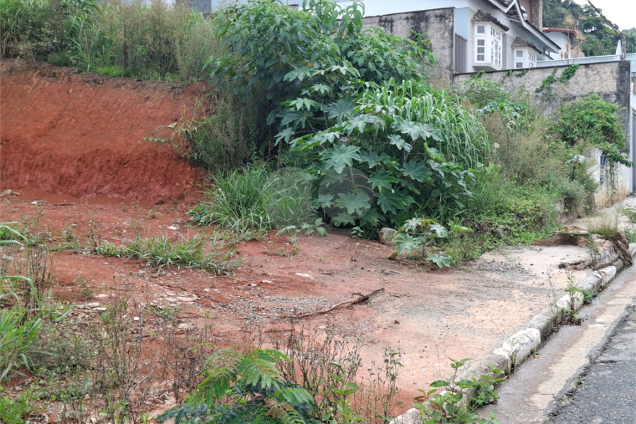 Terreno à venda em Vila Albertina, São Paulo, SP
