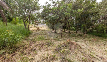 Terreno à venda em Retiro das Fontes, Atibaia, SP