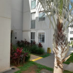 Apartamento à venda com 2 quartos em Jardim Embaré, São Carlos, SP