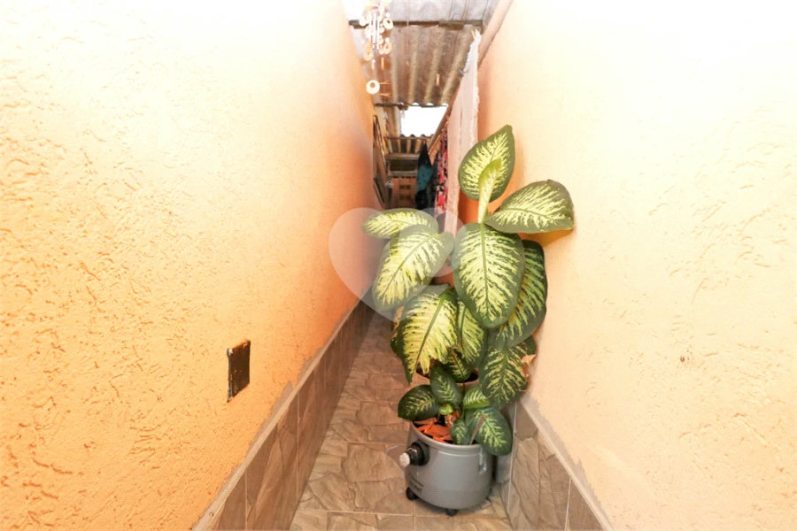 Casa à venda com 3 quartos em Vila Guilherme, São Paulo, SP