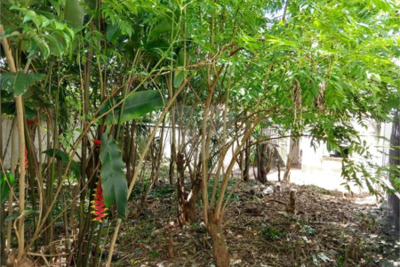Sobrado à venda com 2 quartos em Vila Alexandria, São Paulo, SP