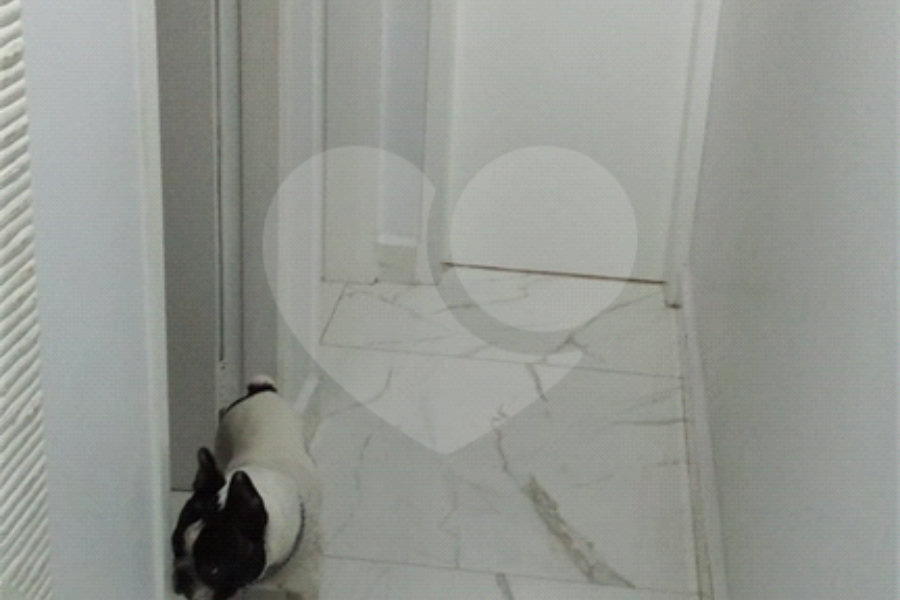 Apartamento à venda com 2 quartos em Pirituba, São Paulo, SP