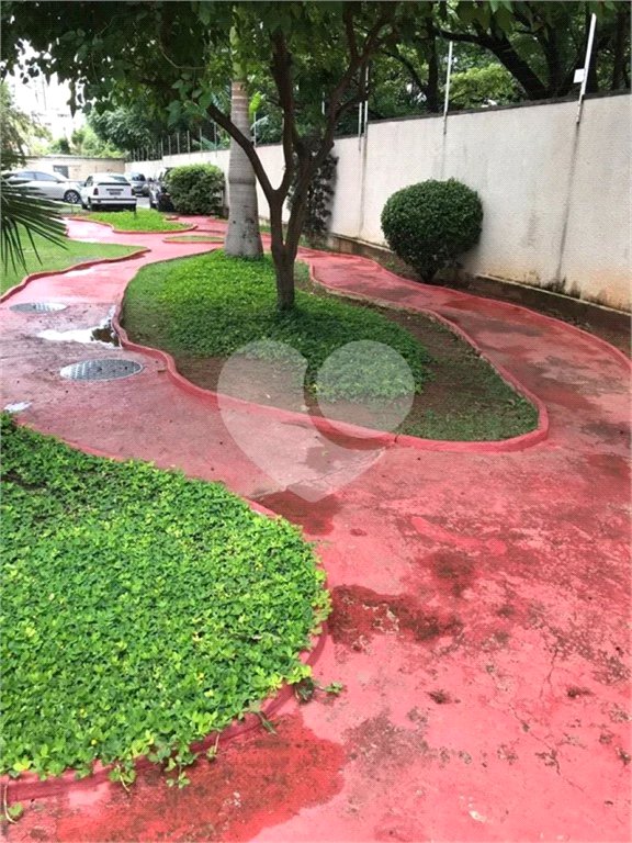 Apartamento à venda com 3 quartos em Vila Nova Cachoeirinha, São Paulo, SP