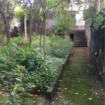Terreno à venda ou para alugar em Horto, São Paulo, SP