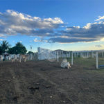Fazenda à venda com 6 quartos, sendo 1 suíte,  no Centro, Capitão Enéas, MG