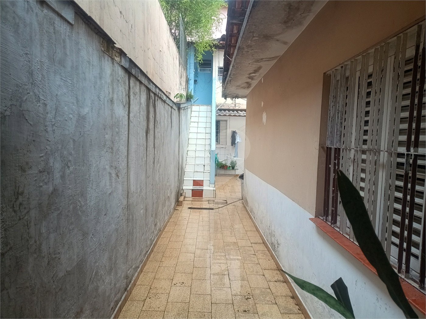 Casa Térrea à venda com 3 quartos, sendo 1 suíte,  em Campininha, São Paulo, SP