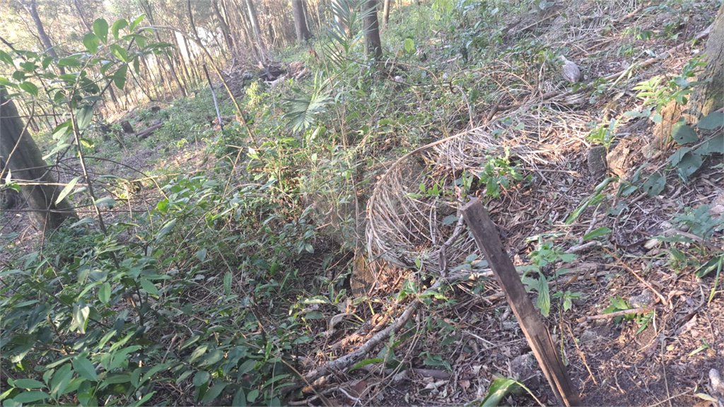 Terreno à venda em Serra da Cantareira, Mairiporã, SP
