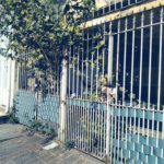 Casa Térrea à venda com 2 quartos em Vila Nova Cachoeirinha, São Paulo, SP