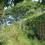 Terreno à venda em Jardim Patriarca, Ribeirão Preto, SP