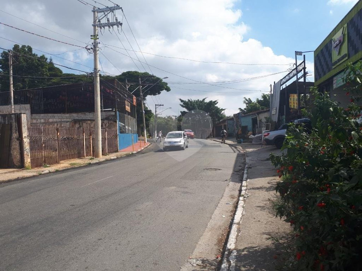 Terreno para alugar em Tucuruvi, São Paulo, SP