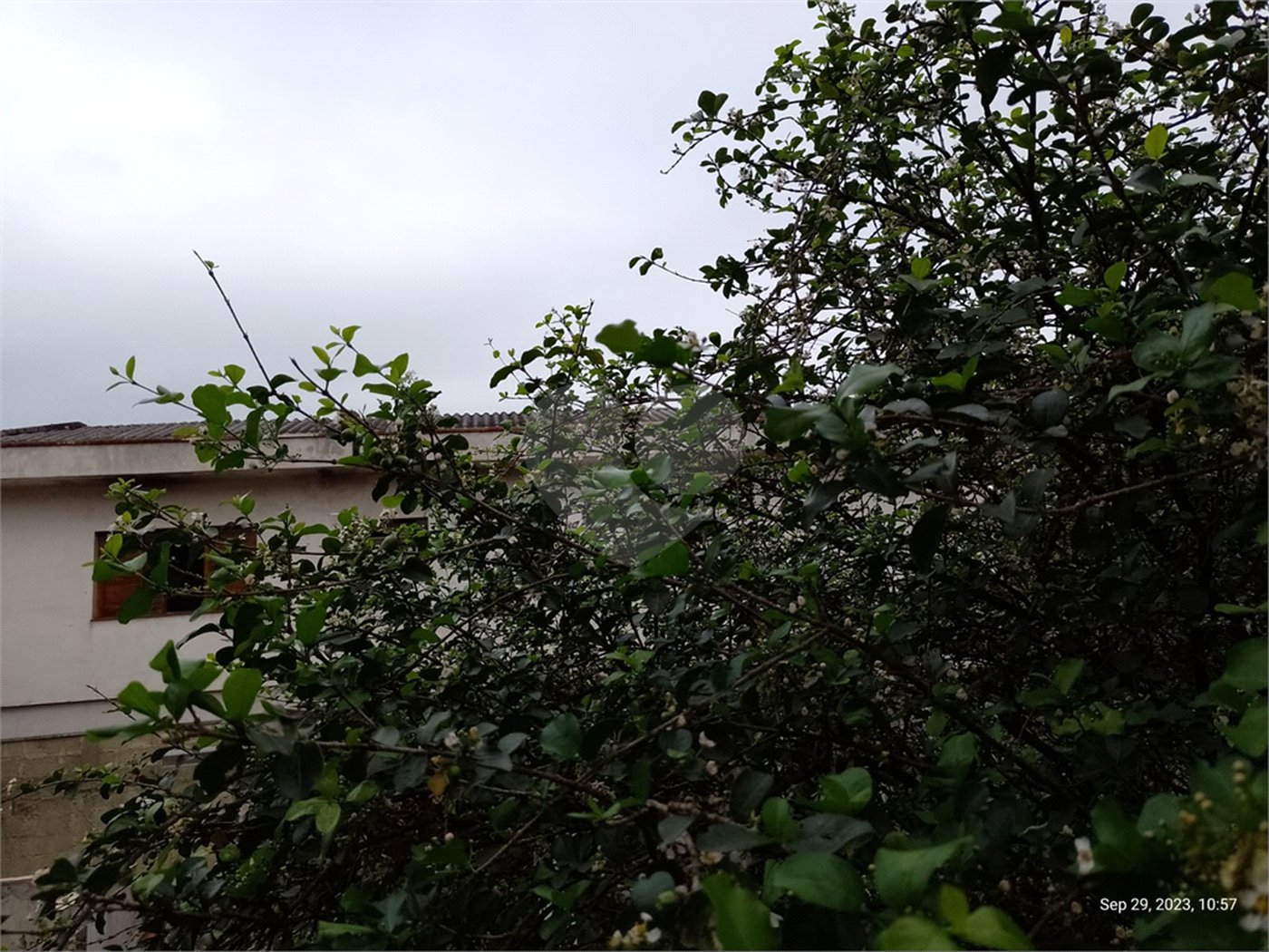 Oportunidade Incrível no Bairro Jardim Líbano!