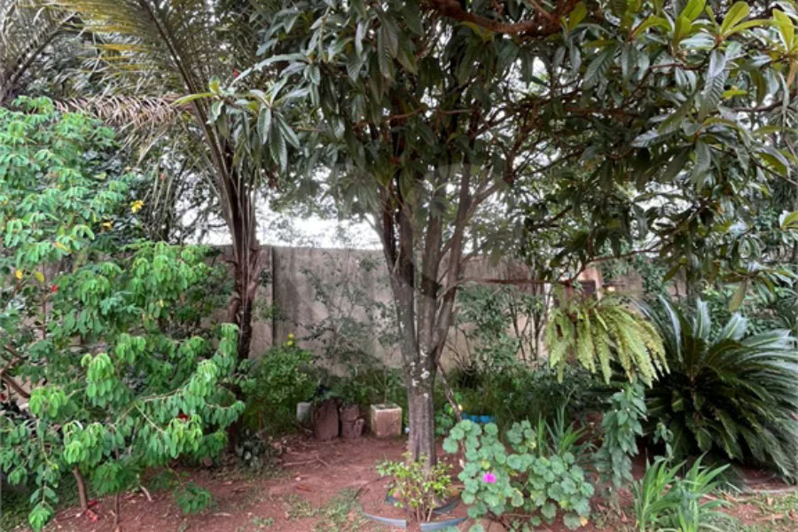 Chácara Espaçosa no Santa Rita com Área Gourmet, Sauna e Árvores Frutíferas