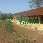 Sítio Estrada São Carlos Ribeirão - próximo São Carlos