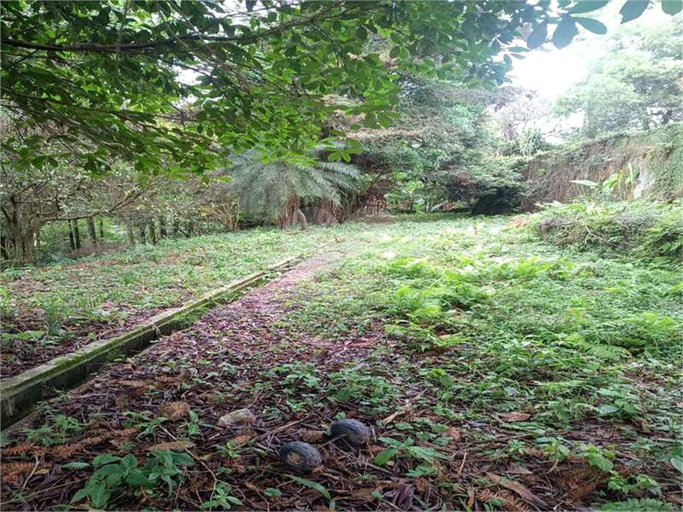 Terreno à venda no condomínio Associação Reserva das Hortênsias, Mairiporã - SP