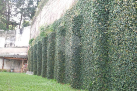 Casa Térrea à venda com 4 quartos, sendo 3 suítes, em Jardim Franca, São Paulo, SP