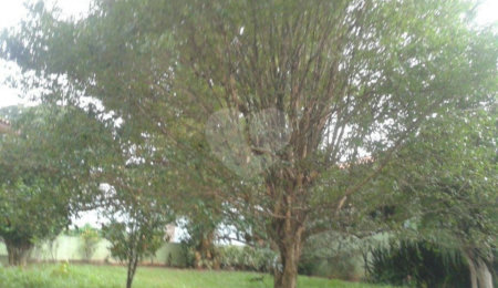 Terreno à venda com 1 quarto, sendo 2 suítes,  em Horto Florestal, São Paulo, SP