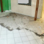 Casa Térrea à venda com 3 quartos, sendo 1 suíte,  em Mandaqui, São Paulo, SP