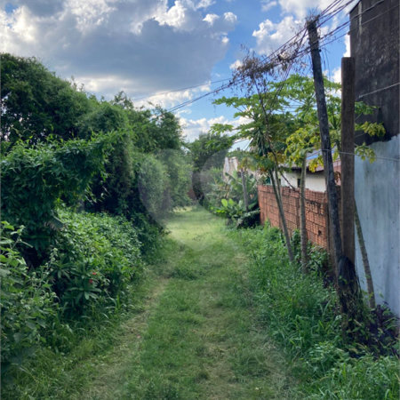 Terreno à venda no Centro, Ponta Porã, MS