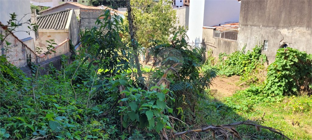 Terreno à venda em Tucuruvi, São Paulo, SP