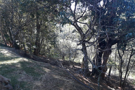 Sítio à venda com 9 quartos, sendo 7 suítes, no Centro, Monteiro Lobato, SP