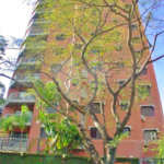 Apartamento à venda com 4 quartos, sendo 3 suítes, em Indianópolis, São Paulo, SP