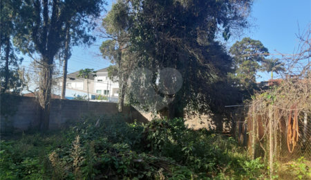 Terreno à venda em Vila Gustavo, São Paulo, SP