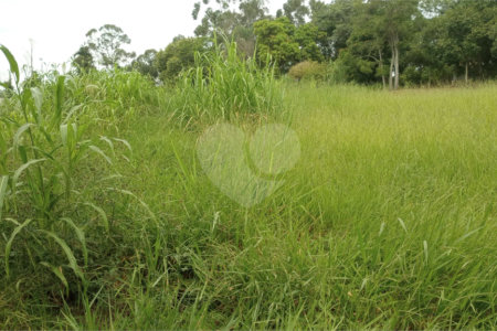 Terreno à venda em Pinheirinho, Vinhedo, SP