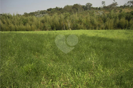 Área de Terra à venda em Porteira Preta, Mogi das Cruzes, SP