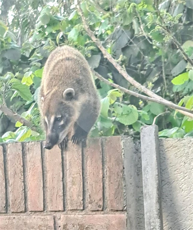 Loteamento à venda em Serra da Cantareira, São Paulo, SP