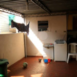 Sobrado à venda com 4 quartos em Imirim, São Paulo, SP