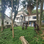 Casa Térrea à venda com 2 quartos em Horto Florestal, São Paulo, SP