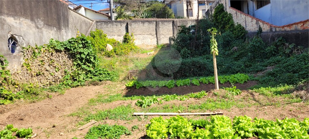 Terreno à venda em Tucuruvi, São Paulo, SP