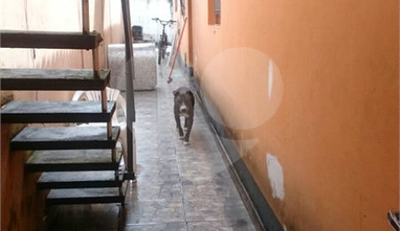 Sobrado à venda com 2 quartos, sendo 1 suíte,  em Vila Rosália, Guarulhos, SP