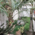 Casa à venda com 3 quartos, sendo 1 suíte, em Tucuruvi, São Paulo, SP