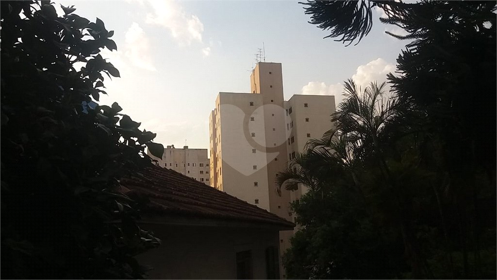 Terreno à venda em Tucuruvi, São Paulo, SP