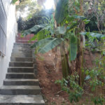 Sobrado à venda com 3 quartos, sendo 1 suíte, em Horto, São Paulo, SP