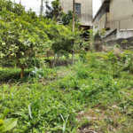 Terreno à venda em Vila Gustavo, São Paulo, SP