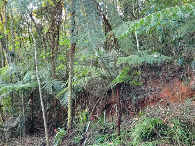 Terreno à venda no condomínio Itatiaia, Mairiporã - SP