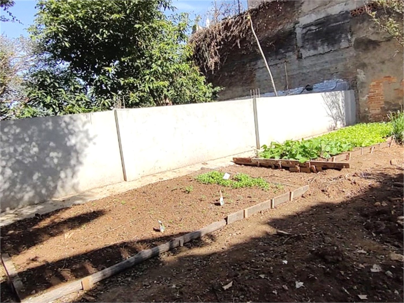 Terreno à venda em Vila Gustavo, São Paulo, SP