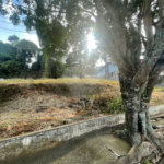 Terreno à venda em Tremembé, São Paulo, SP
