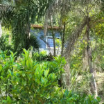 Sítio à venda com 3 quartos em Vila Darcy Penteado (mailasqui), São Roque, SP