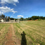 Terreno para venda no Condomínio Ecotec Damha I