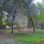 Terreno à venda com 1 suíte no condomínio Chácara Flora, São Paulo - SP