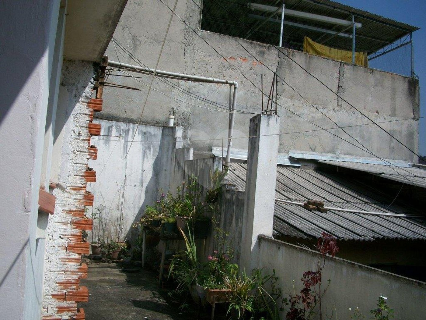 Casa Térrea à venda com 2 quartos em Vila Maria Alta, São Paulo, SP