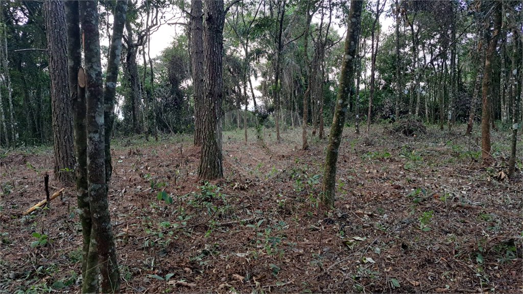Terreno à venda em Serra da Cantareira, Mairiporã, SP