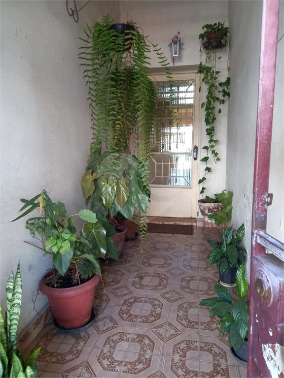 Casa à venda com 2 quartos em Cambuci, São Paulo, SP