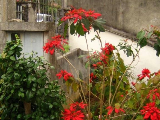 Sobrado à venda com 5 quartos, sendo 1 suíte,  em Casa Verde, São Paulo, SP
